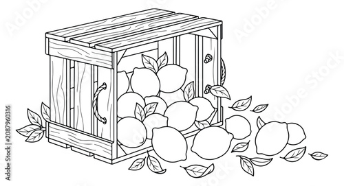 Fotografie Fresh lemon harvest in a rustic wooden crate, a monochrome vector illustration