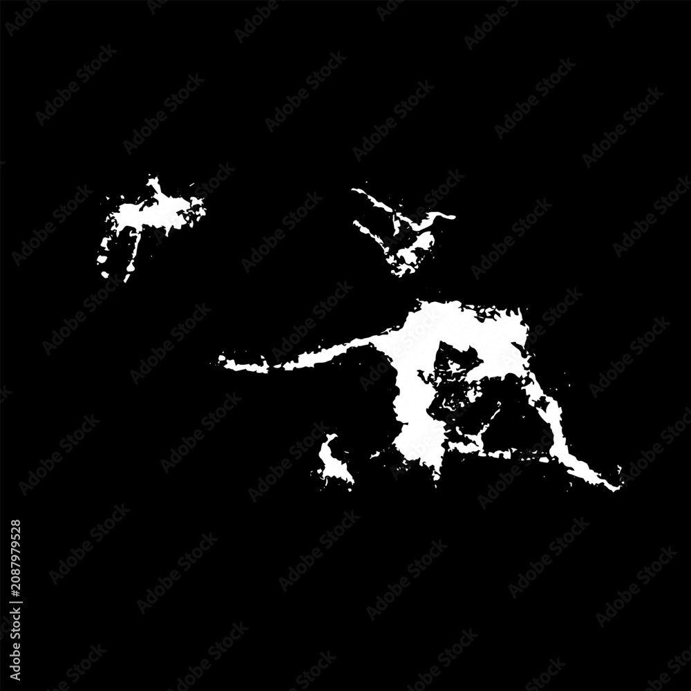 Obraz premium Grunge birds droppings black and white. Flat blots style vector illustration. Map. Abstract paint drop. 