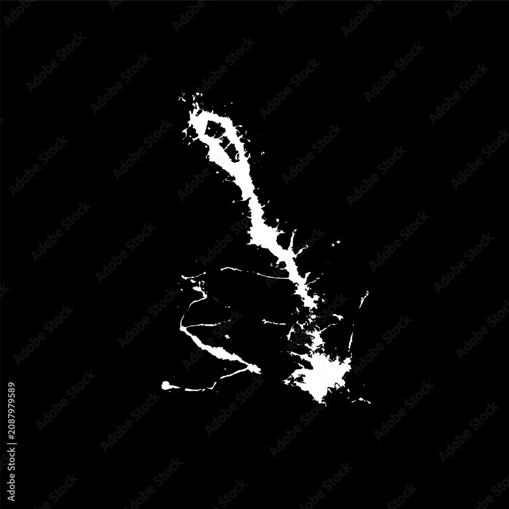 Obraz premium Grunge birds droppings black and white. Flat blots style vector illustration. Map. Abstract paint drop. 