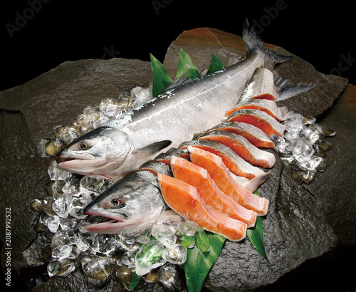 岩盤の上に氷とハランを敷いて新鮮な時鮭、魚体とハラミを強調、丸ごと切り身にした食材画像。