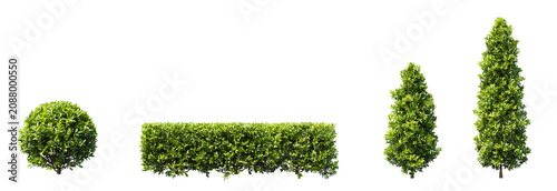 Garden topiary shrubs and hedge set isolated on transparent background for landscape