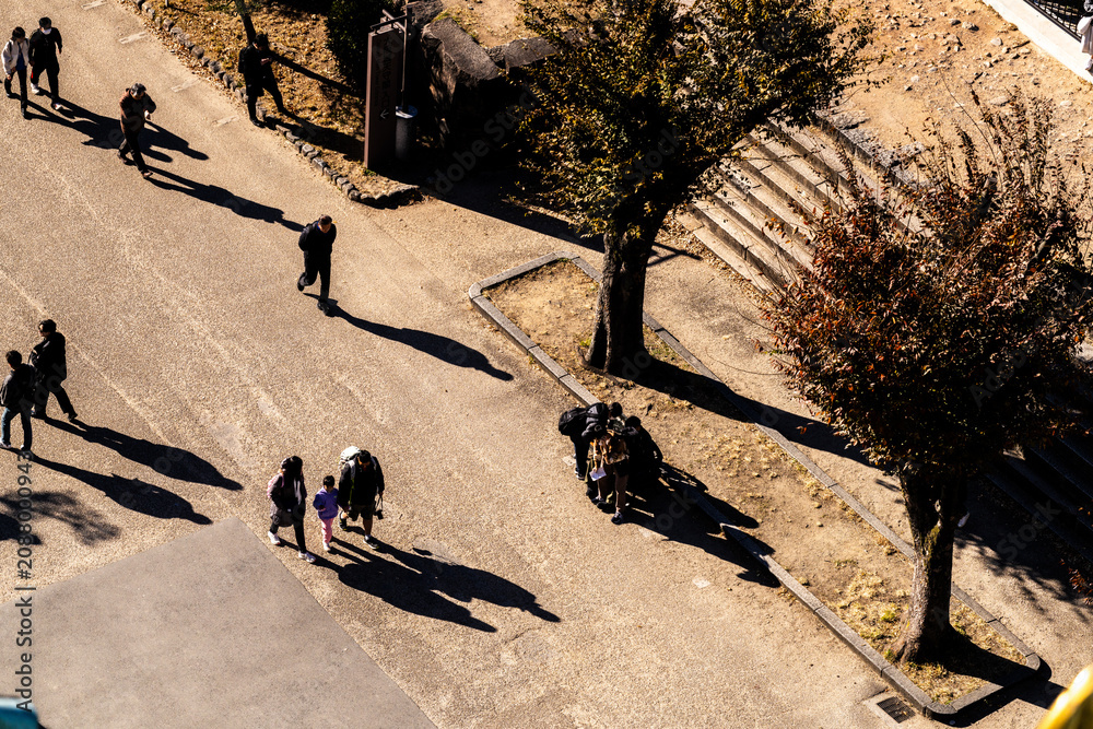 Obraz premium Aerial top down view of walkers descending the sloped path, a pair with a child in the center and a group resting by the tree on a sunlit park plaza in Japan, high angle city scene