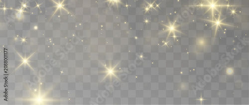 Golden winter snowflakes sparkle with warm luminous brilliance. Transparent backgrounds emphasize crisp premium vector quality. Sophisticated decorative accents enrich the modern artwork.