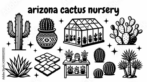 Fotografía organized cactus nursery in arizona with rows of desert plants decorative potter