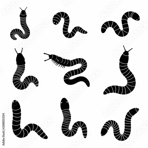 Creative worm silhouettes collection for nature themed design projects