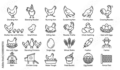 Canvastavla Minimalist Chicken Line Art Vector Set with Thin Outline Farm Poultry Icons