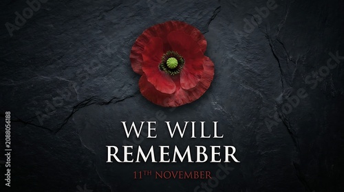 Single red poppy flower with black center on dark cracked stone background with we will remember text for remembrance day