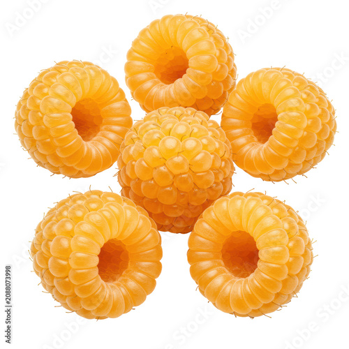 Five plump golden raspberries with glistening drupelets, isolated on a transparent background with ample copy space. Concept of clean eating and natural ingredients