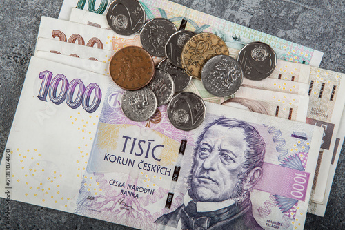 Czech koruna, the monetary unit of the Czech Republic introduced in 1993