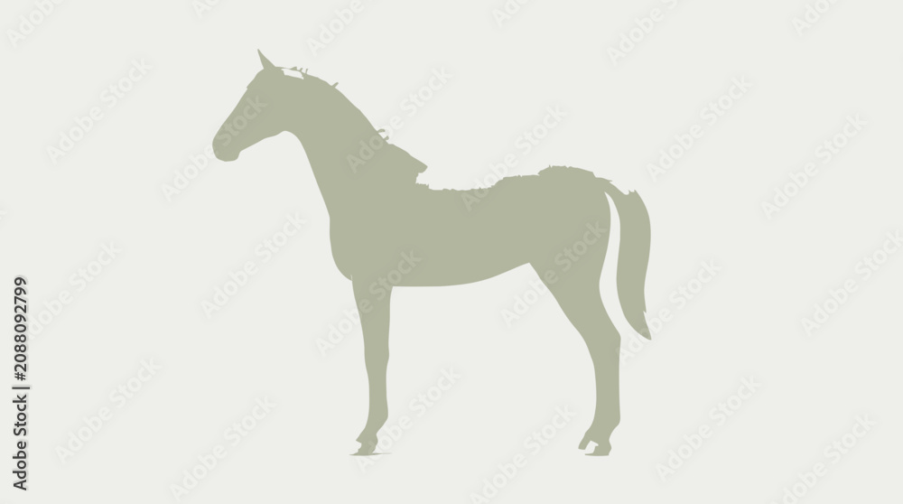 Obraz premium Equestrian Silhouette