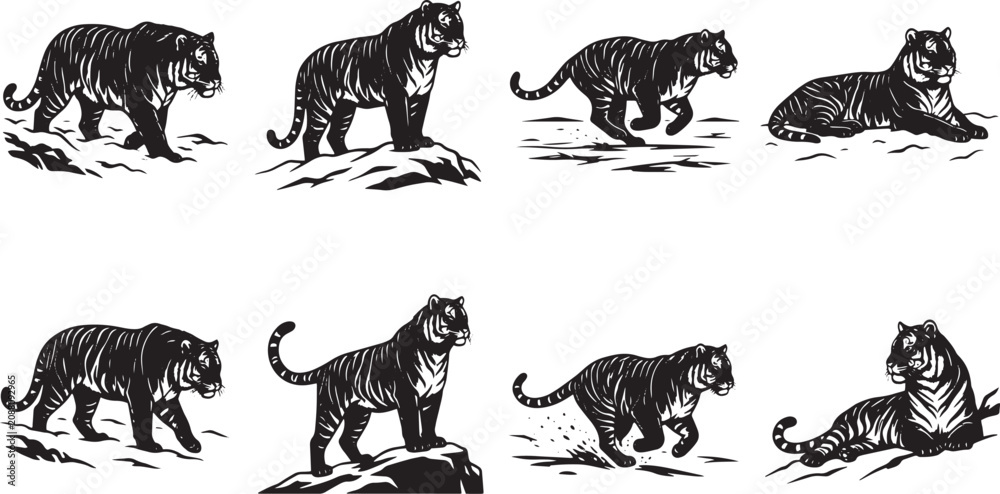 Fototapeta premium Vintage tiger illustration set, 8 black and white wild cat vector graphics, retro tiger silhouettes in walking and running poses for logo design isolated on Transparent Background