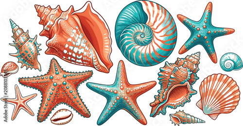 Foto Seashells and Starfish Collection with Colorful Marine Ocean Shells Conglomerate