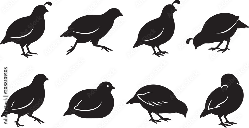 Fototapeta premium Quail silhouettes, black quail icons, quail vector set, bird silhouettes isolated on Transparent Background