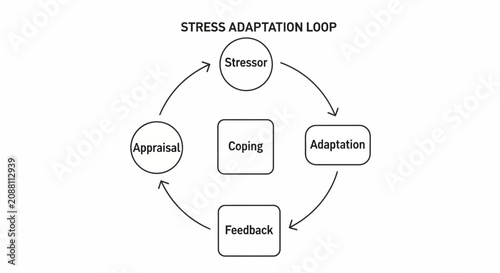 Konstfotografi Stress adaptation loop diagram with stressor, appraisal, coping, adaptation and feedback