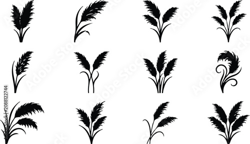 Billede på lærred Tall Wild Reeds and Feathery Grass Stems Silhouette Set Vector Illustration – Bo