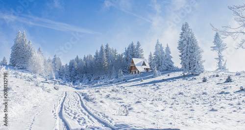 Rustic mountain cabin surrounded by snow covered evergreen forest under a clear blue winter sky, with fresh snowy trail leading through a peaceful alpine landscape and seasonal nature.