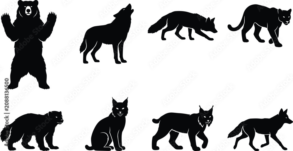 Obraz premium Set of black silhouettes of wild forest animals including bear, wolf, lynx, and wild cat