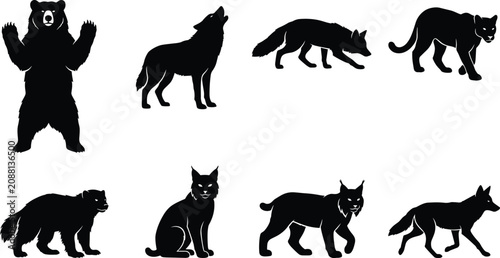 Photography Set of black silhouettes of wild forest animals including bear, wolf, lynx, and