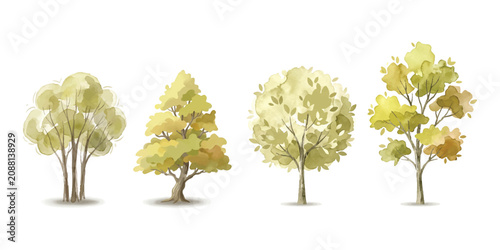 Foto Set of four different green deciduous trees with colorful leaves for landscape d