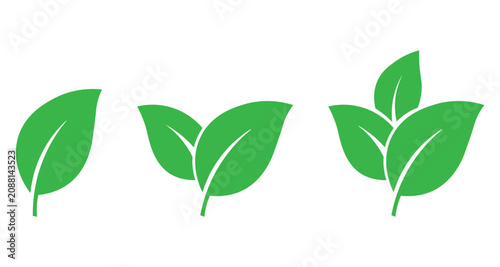 Green leaf illustrations showcase varying arrangements of foliage against a white background leaves