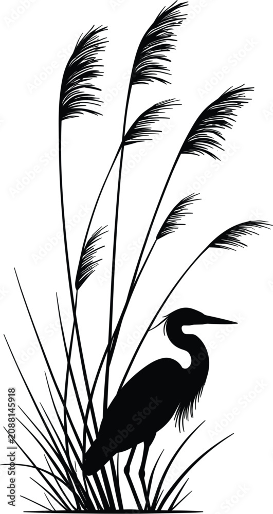 Fototapeta premium Heron bird in reeds vector illustration, black silhouette marsh wildlife design isolated on white background