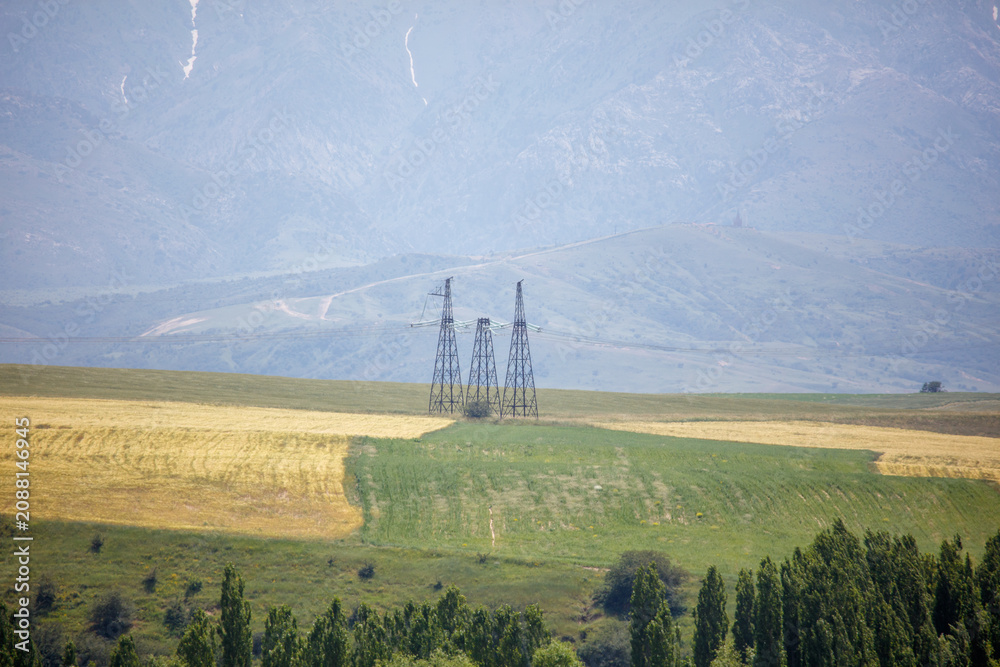 Fototapeta premium Electric towers stand in a golden field