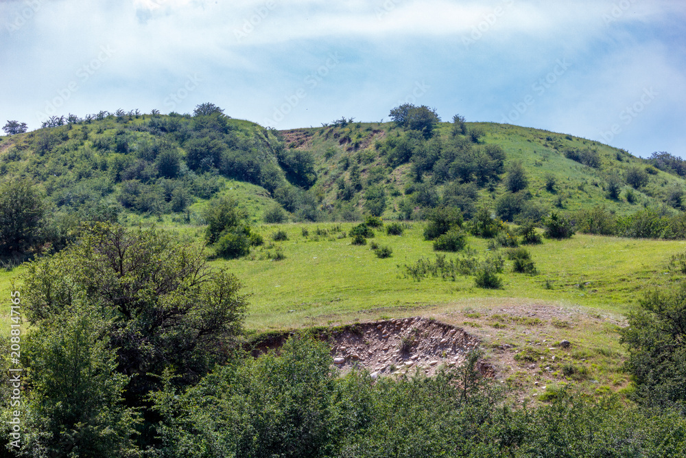 Fototapeta premium Lush green hillside under bright blue sky
