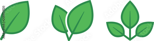 Three different types of green leaves vector