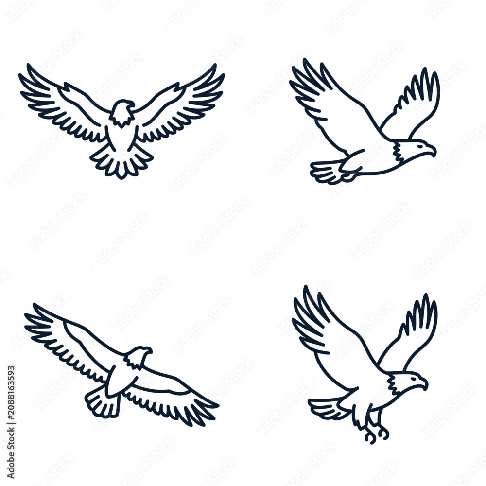 Fototapeta premium Four Eagle Illustrations in Flight Line Art Style.