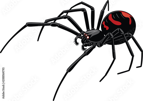 Tableau sur toile Black widow spider vector illustration, crawling redback venomous arachnid insec