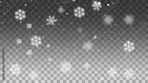 Photos Vector heavy snowfall, snowflakes in different shapes and forms