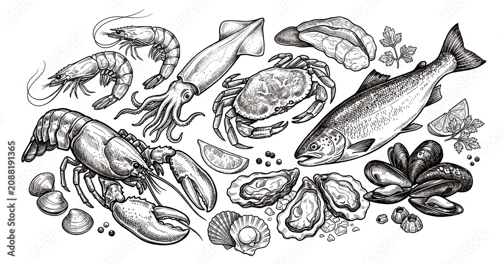 Fototapeta premium Hand drawn seafood collection with salmon, shellfish, squid and oysters in retro engraving style for menu, packaging and culinary design, cut out