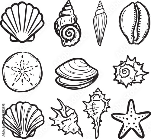 Black and white seashell vector icons, ocean shell set, starfish and seashell illustrations, beach elements