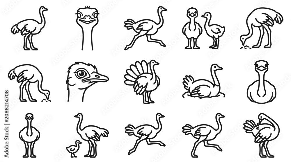 Obraz premium Ostrich Line Art Icons: Various Poses and Styles
