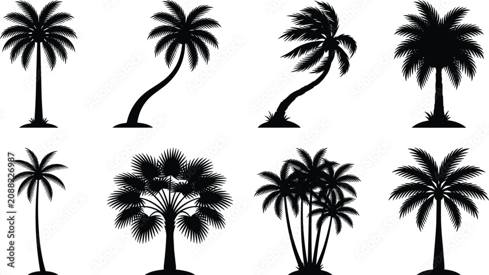 Fototapeta premium Tropical Palm Tree Silhouette Collection Featuring Diverse Coconut and Fan Palms Isolated on White Background