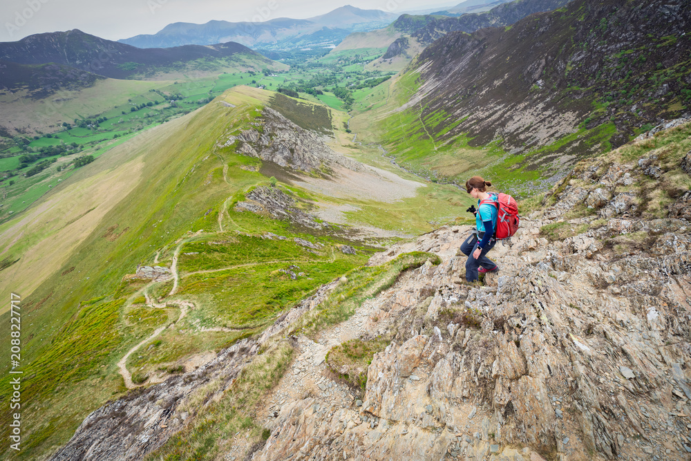 Fototapeta premium A female hiker descending the rocky ridge of High Snab Bank, ridgeline, from the summit of Robinson with Newlands in the distance in the English Lake District, UK.