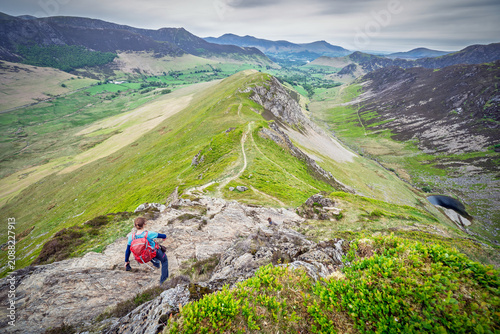 фотографія A female hiker descending the rocky ridge of High Snab Bank, ridgeline, from the summit of Robinson with Newlands in the distance in the English Lake District, UK