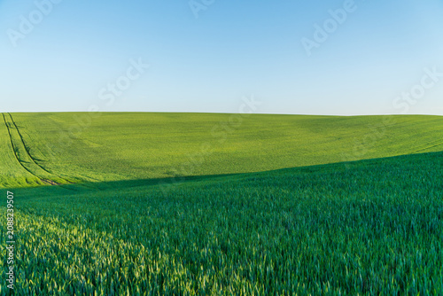 Canvastavla A large area of green field stretches out under a bright blue sky during the day