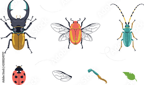 Foto Insects and Bugs Collection Featuring Stag Beetle Cicada Longhorn Beetle Ladybug