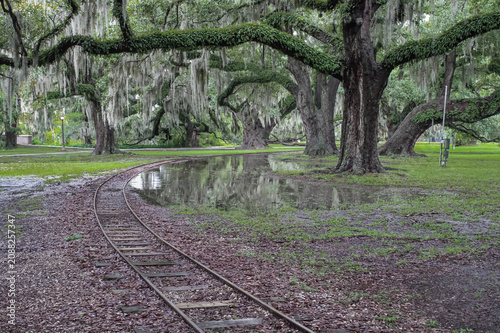 New Orleans Forest Flooded Track 