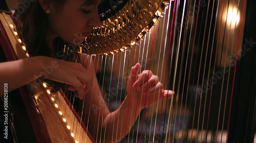 Close-up of harp strings being plucked with light glinting on the strings.