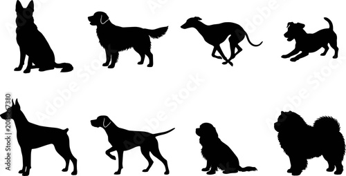 Black dog silhouette collection featuring multiple breeds varied postures for canine vector design resources