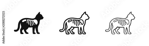 Quadro su tela Cat anatomy x-ray style icons set, skeletal structure, veterinary symbols, flat