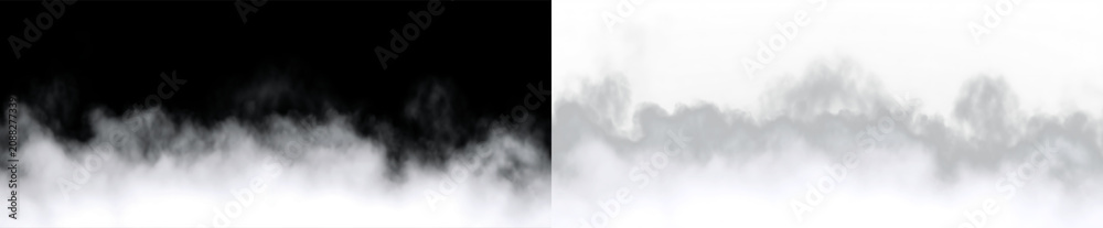 Fototapeta premium Soft fog covers a landscape with trees and hills in the background during a quiet morning