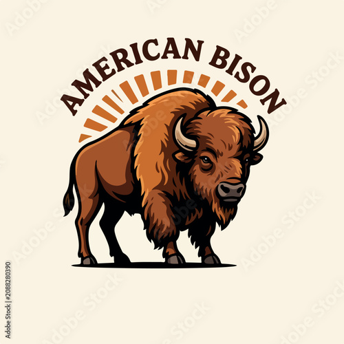 American bison vector