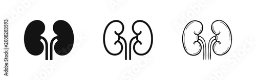 Cuadro en lienzo Kidney organ anatomy icon set in flat, outline, and sketch style