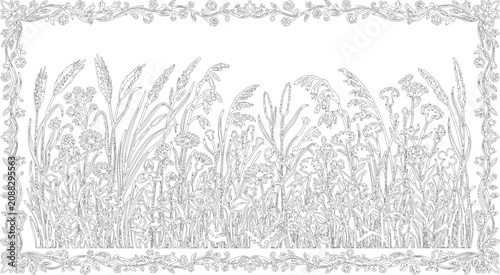 Bild auf Leinwand Gray, ornate, floral border, vector illustration, decorative frame, botanical de