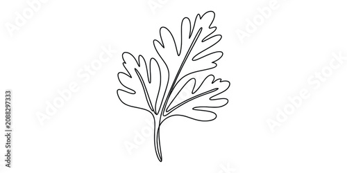 Konstfotografi Single fresh cilantro leaf line art drawing