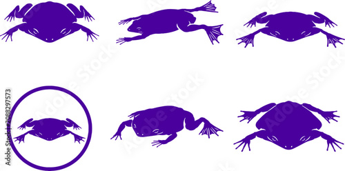 Foto Surinam Toad Silhouette Icon Set Black Vector Amphibian Collection