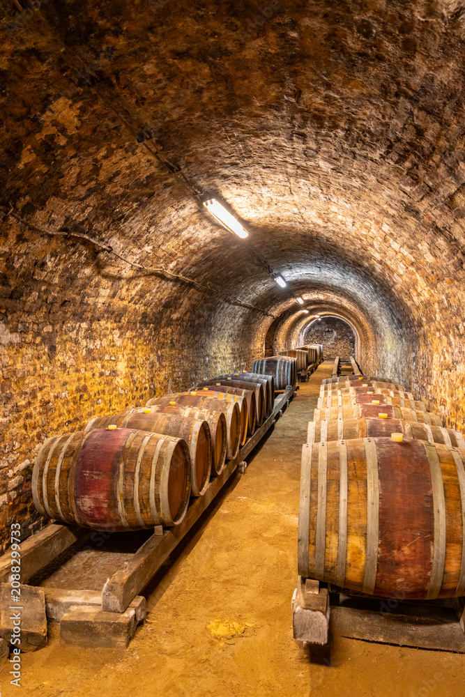 Obraz premium Wine cellar with wooden barrels aging in ancient tunnel